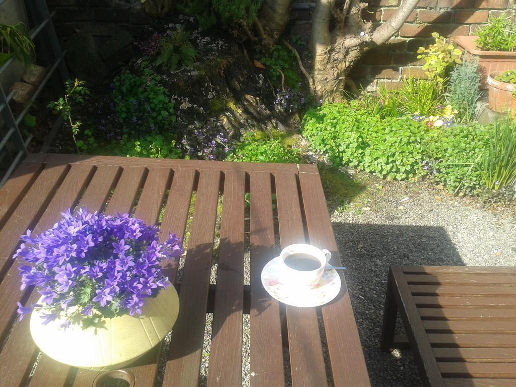 Harrington House Hostel - Dublin — Photos 1